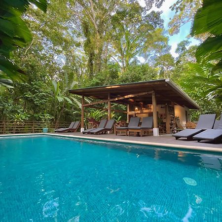 Satta Lodge (Adults Only) Puerto Viejo de Talamanca Экстерьер фото