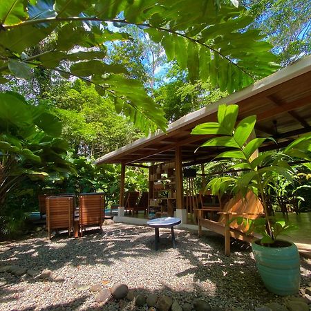 Satta Lodge (Adults Only) Puerto Viejo de Talamanca Экстерьер фото