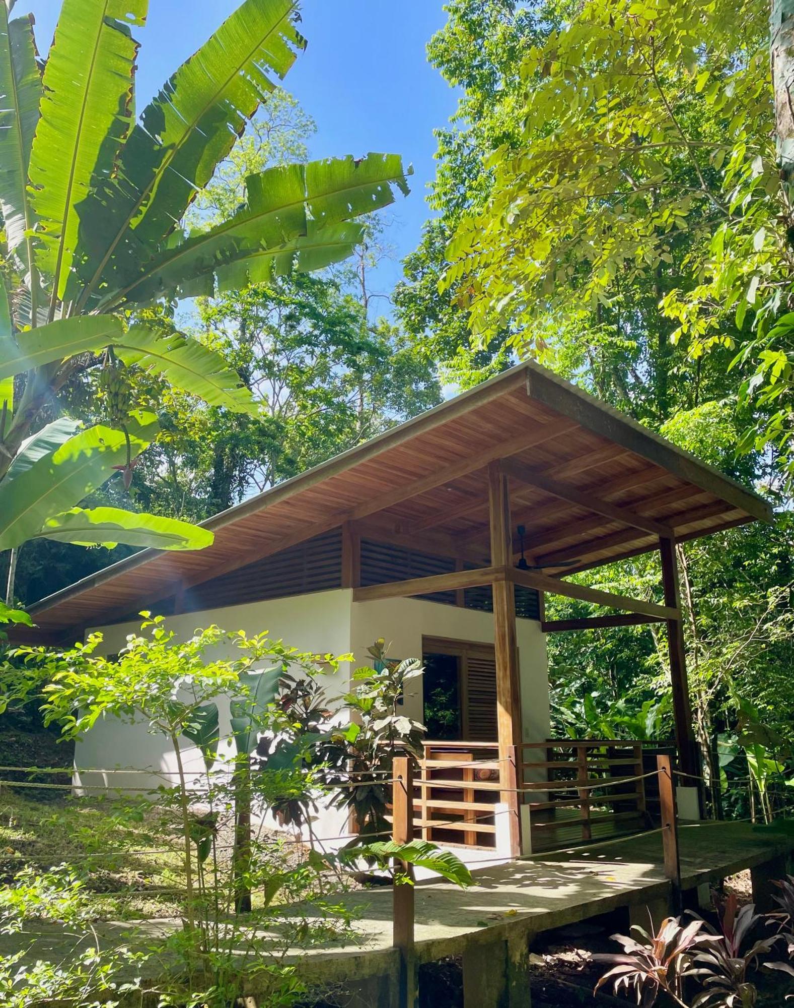 Satta Lodge (Adults Only) Puerto Viejo de Talamanca Экстерьер фото